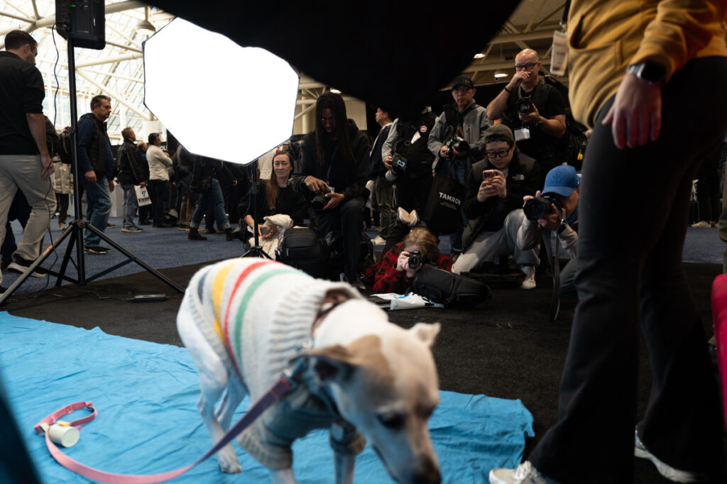 Belle the dog is walking off stage at the Tamron booth at ProFusion Expo 2025 in Toronto.
