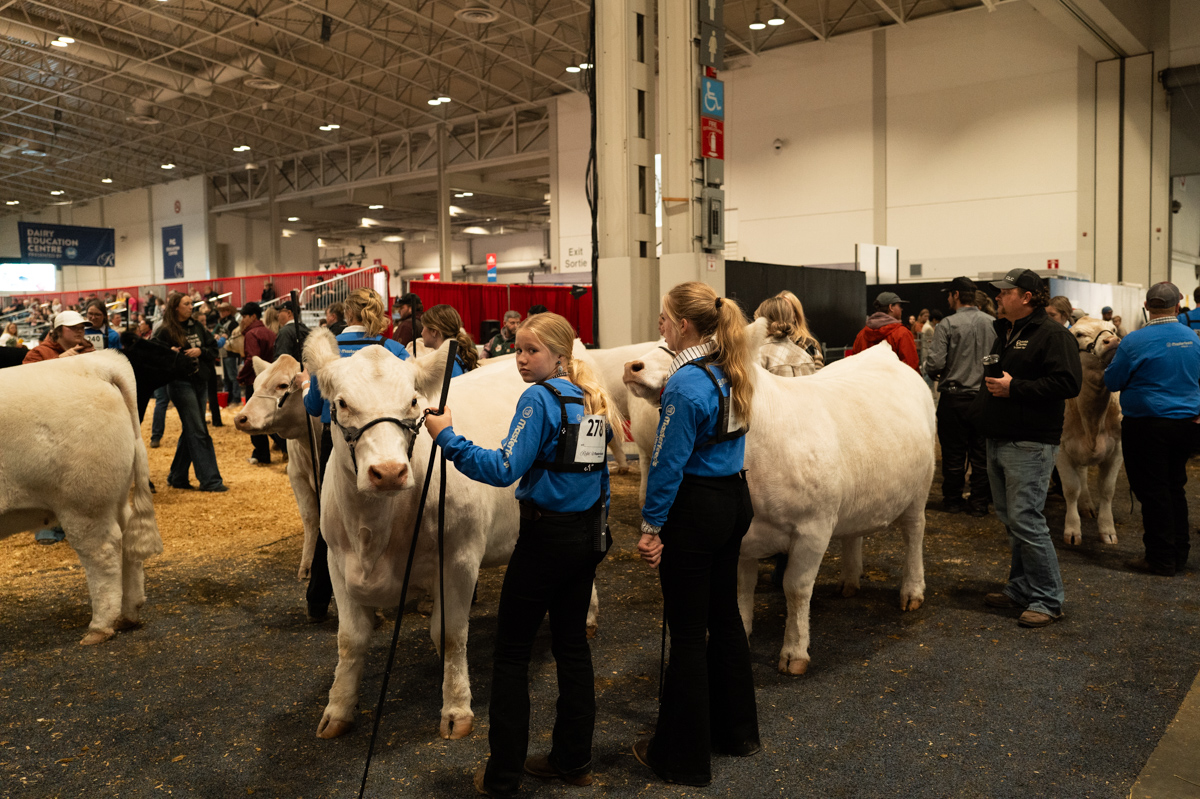 The Royal Winter Fair